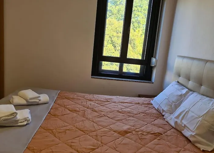 Amplo Com 4 Quartos Na Zona Universitaria 波尔图